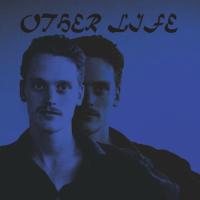 Виниловая пластинка SAVAGE SEAN NICHOLAS / OTHER LIFE (1LP)